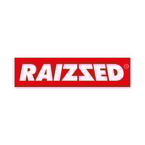 raizzed